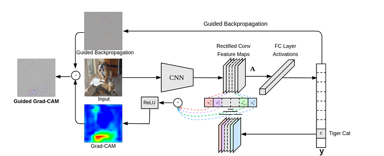 an architectural overview of the algorithm